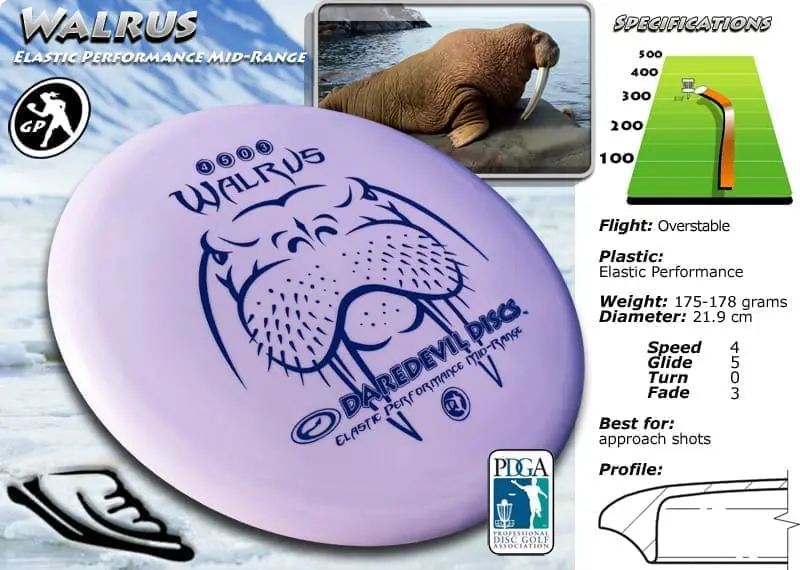 info_walrus